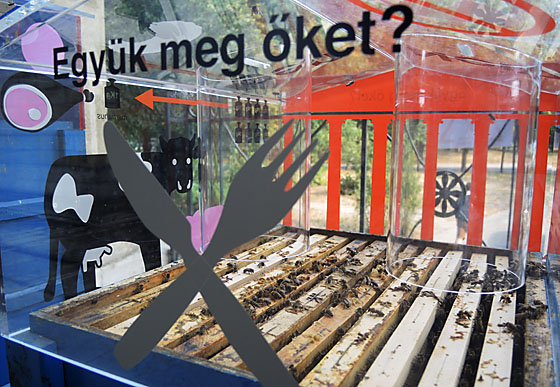 Blick in den Museumsraum: Sollen wir Sie essen?