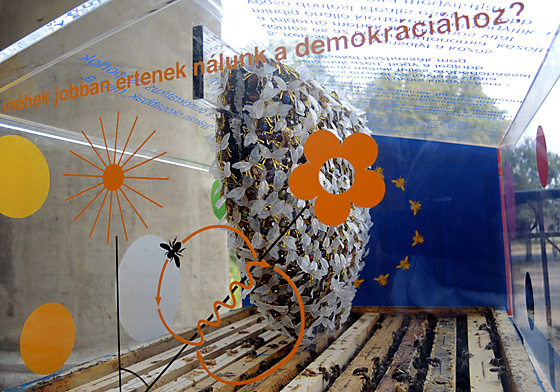 Blick in den Ausstellungsraum: Sind Bienen die besseren Demokraten